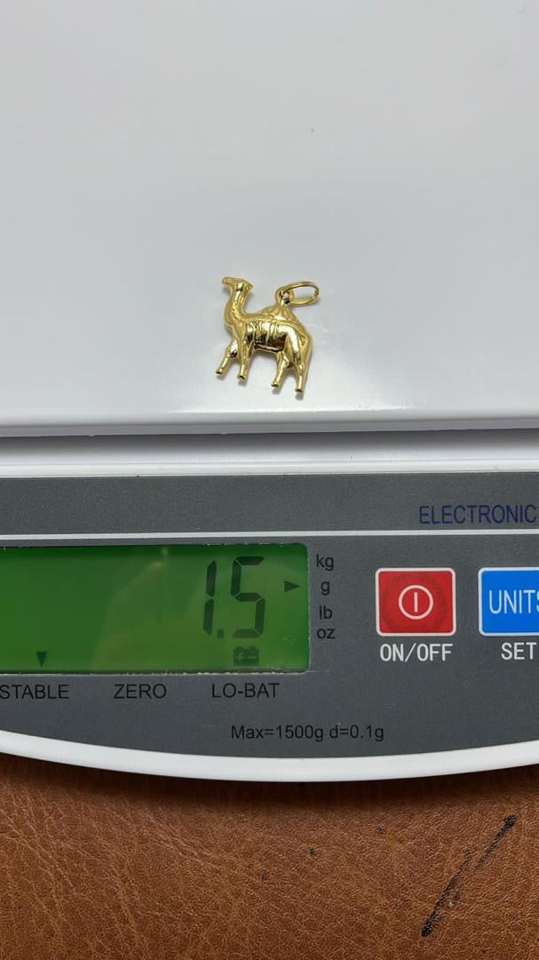 Camel